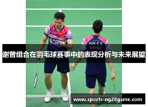 谢曾组合在羽毛球赛事中的表现分析与未来展望