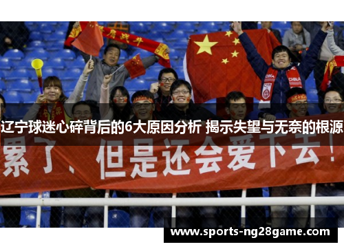 辽宁球迷心碎背后的6大原因分析 揭示失望与无奈的根源